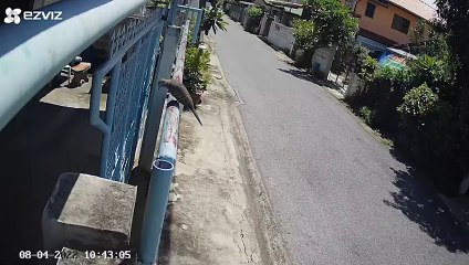 วงจรปิด จับภาพ พฤติกรรม เสธทหาร ทอ.ฯ ป่วนชาวบ้าน