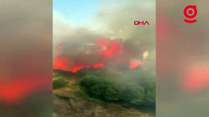 Başakşehir'de yangın: Ağaçlık alandaki yangın kontrol altına alındı