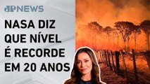 Fumaça emitida no Pantanal e Amazônia equivale a 5 anos de poluição em SP; Patrícia Costa analisa