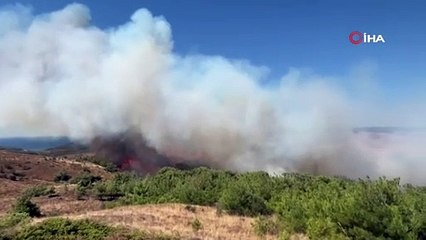 Bozcada'da yangın... Adadan alevler yükseliyor