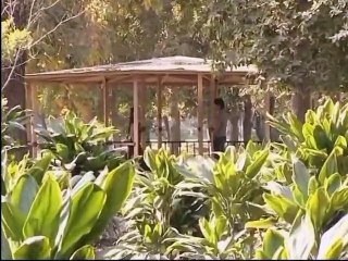 Dhoop main andhera ha ost title song saba Qamar