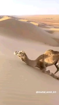 Naat sharif, naat, viral naat, new Islamic naat, new Naate pak, Naate pak, naat 2024, naat 2023, naat 2022, naat shorts, naat status, Islamic status