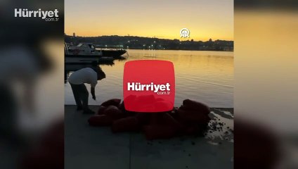 Üsküdar'da 1 ton kaçak midye ele geçirildi