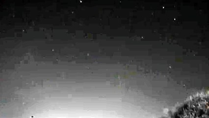 Chuva de meteoro enfeita céu no interior de SP