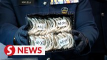 Customs seizes bird's nests worth RM1.57mil at KLIA