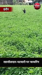 तहसीलदार और पटवारी पर फायरिंग: जानिए पूरी खबर