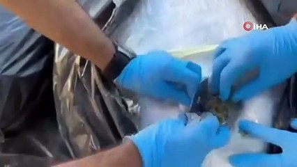 Yalova’nın Dahil Olduğu 59 İlde “Narkoçelik-32” Operasyonu!