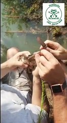 Piccolo Tarabusino con Becco Incastrato Salvato dai Volontari 🦜