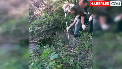 Su kuyusuna düşen yavru yaban domuzu kurtarıldı