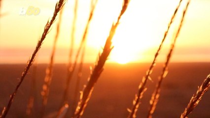 Here’s Why You Feel Tired After Being In The Sun