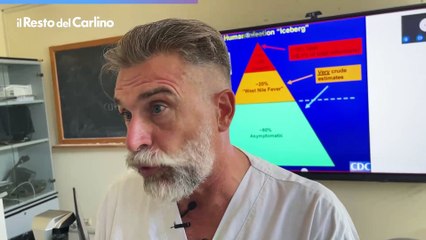 West Nile, la malattia spiegata dal medico