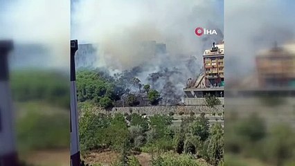 İstanbul’un Başakşehir ilçesinde çayırlık arazide yangın çıktı