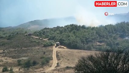 Bozcaada'da ziraat alanında başlayan yangın ormanlık alana sıçradı