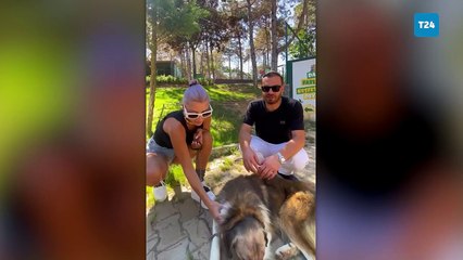 Hande Yener, sahiplendiği av köpeğiyle vurulan köpeği Ateş’i  ziyaret etti