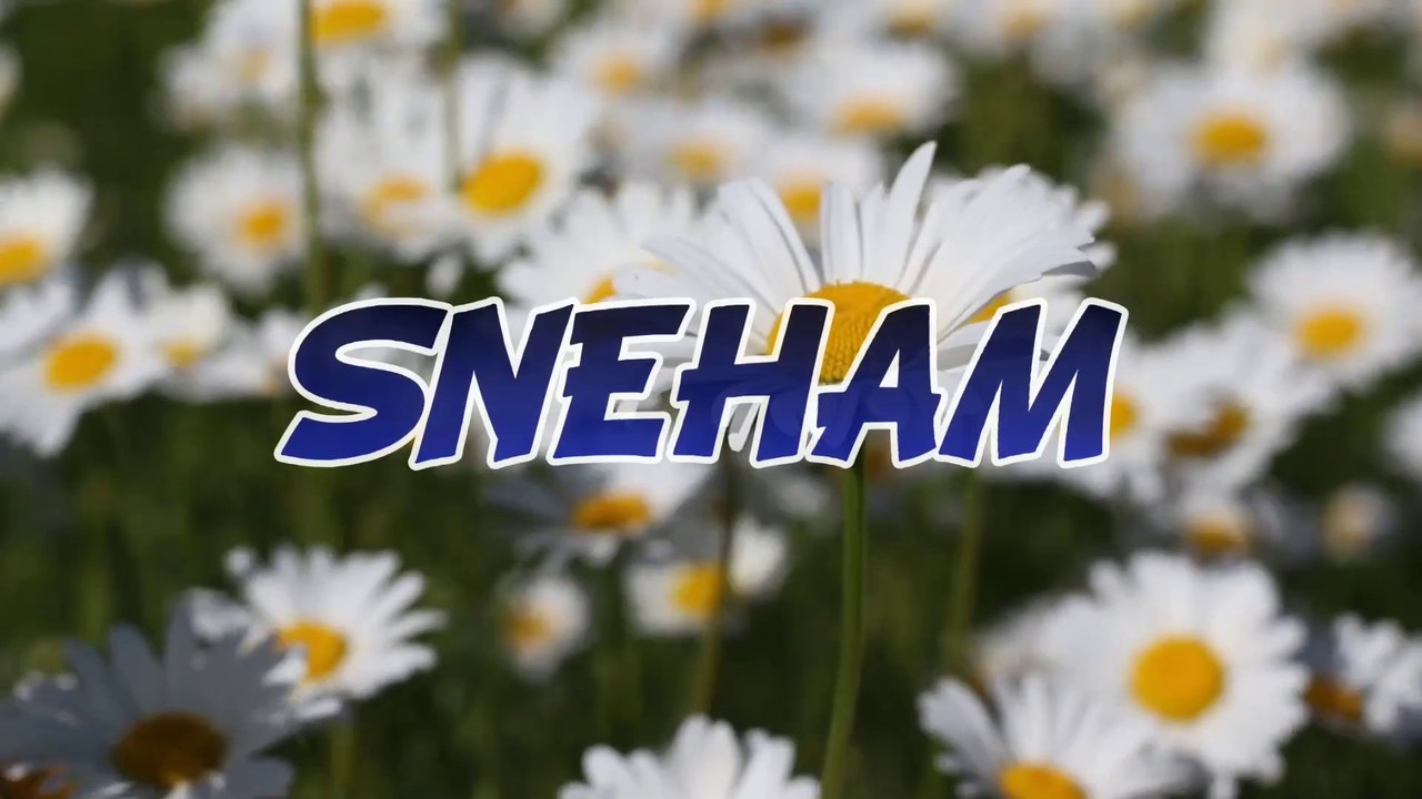 SNEHAM - (Friendship)