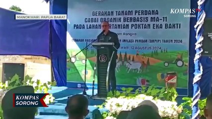 Bank Indonesia Dorong Peningkatan Hasil Panen Petani Manokwari Cegah Inflasi