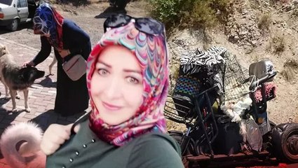 Sokak köpeklerine mama götürürken  meydana gelen kazada hayatını kaybetti