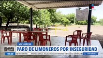 Limoneros abandonan el campo por la inseguridad en Michoacán