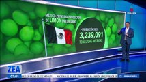 ¿Por qué el limón es importante para la economía de México?