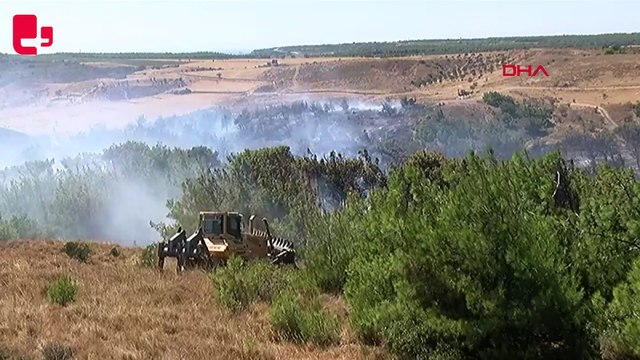 Çanakkale'de tarım arazisinde başlayan yangın ormana sıçradı