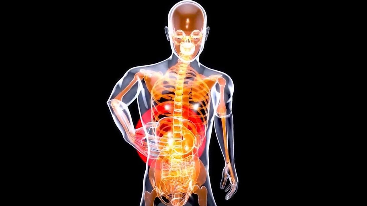 2 Cups Daily...Cleanse Liver, Kidneys & Trim Bloat and Visceral Fat Fast!  Dr. Mandell