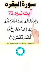 Al-Quran - Surah 2 - Al-Baqara - Ayah 72 | hafiz salman ali