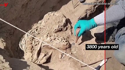 Human Remains From 3800 Years Ago Were Found in Peru