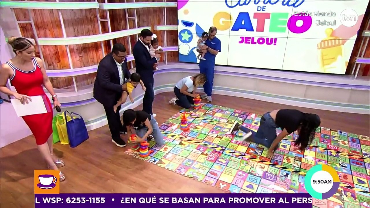 Carrea de gateo Jelou! 14 de agosto