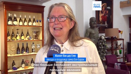 Бельгия, страна пива, совершает прорыв в производстве вина