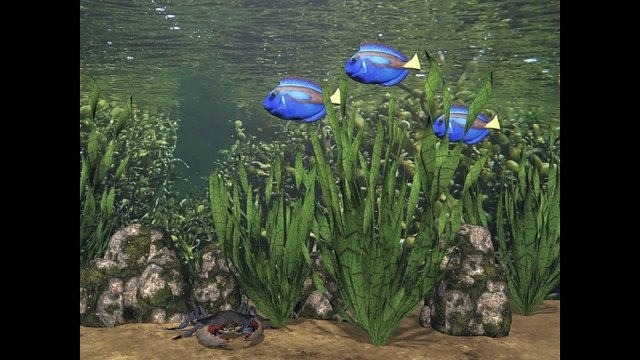 2024 8 Unterwasser Flora Fauna 2024