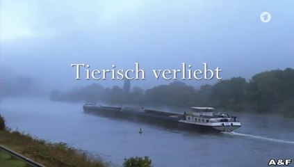 Tierisch verliebt 🐾