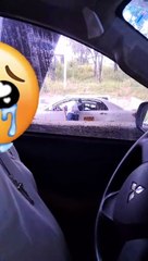 Exponen a hombre robando en pleno tráfico de Tegucigalpa