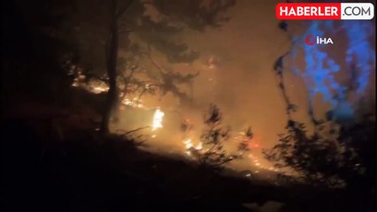 İzmir'deki orman yangını 22 saat sonra kontrol altına alındı