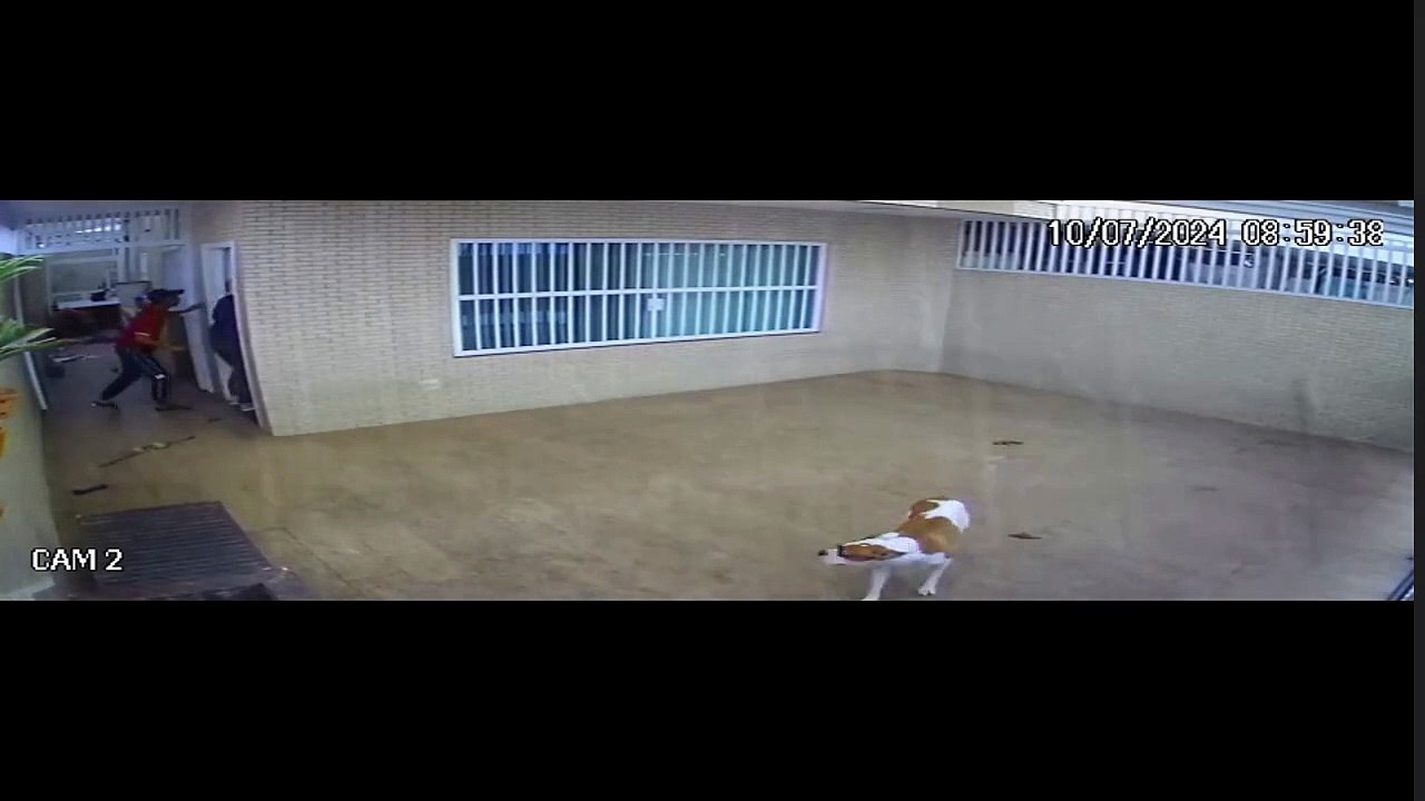 Autores de furto à residência de Santos são identificados e já estavam presos por outro crime; VÍDEO