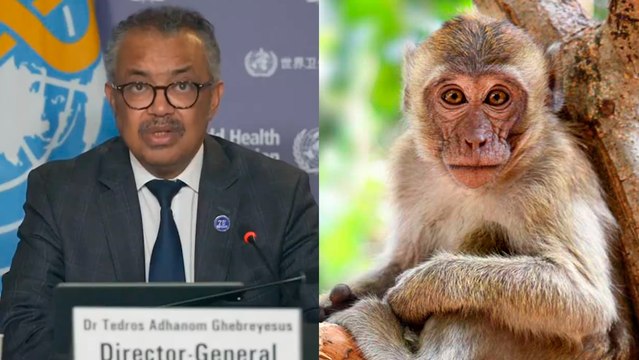 OMS declara emergencia sanitaria de interés internacional por brote de Mpox o Viruela del Mono