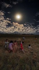 Magnetic Camera Handle for Video Photo Shooting