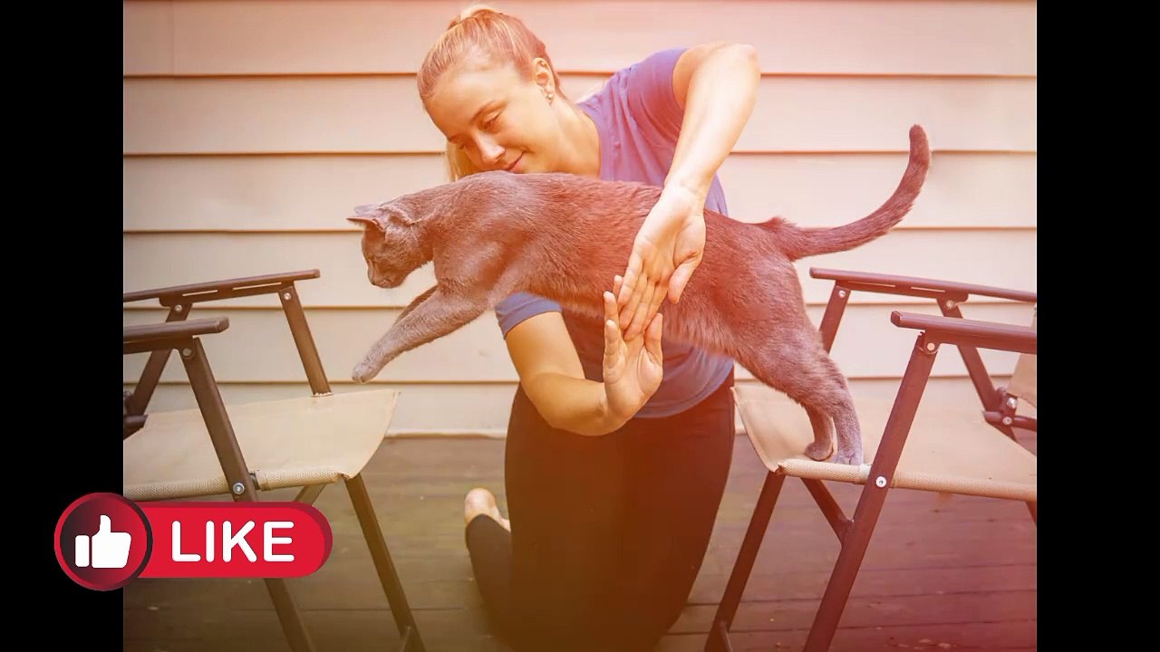 Get ready for a well Behaved pet