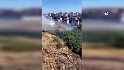 SON DAKİKA HABERİ! Başakşehir'de yangın: Ağaçlık alana sıçradı