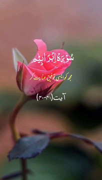 surah ibraheem ayat40 to 41 urdu translation #alquran#islamic video#islam