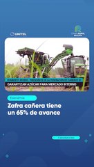 Zafra cañera tiene un 65% de avance