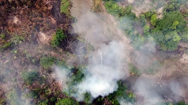 Incêndios na Amazônia Legal batem recorde em duas décadas