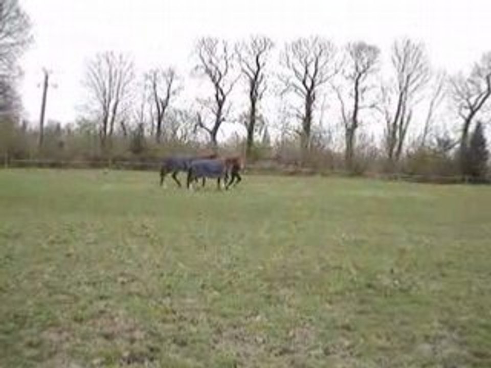 MOV02891