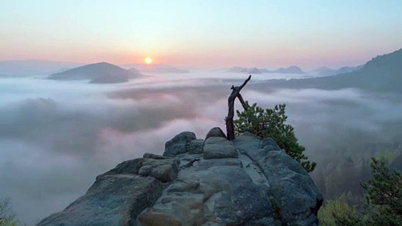 Das kahle Herz - Waldmenschen in Thüringen | movie | 2024 | Official Trailer