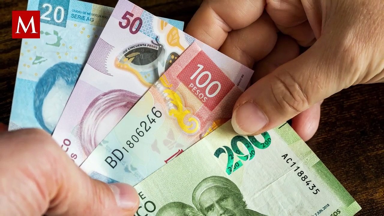 ¿Cuánto y a quiénes se les otorgará este nuevo programa social?; te contamos los detalles