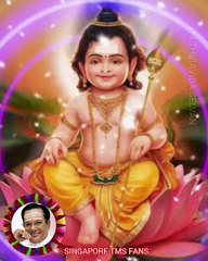 முருகா சோதிக்காதே முருகா M.THIRAVIDA SELVAN SINGAPORE TMS FANS