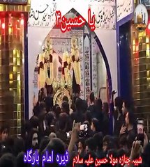 shabeeh Tabot Mola Muhrram 10شبیہ تابوت|#status #reels #shorts #video #new #news #whatsappstatus