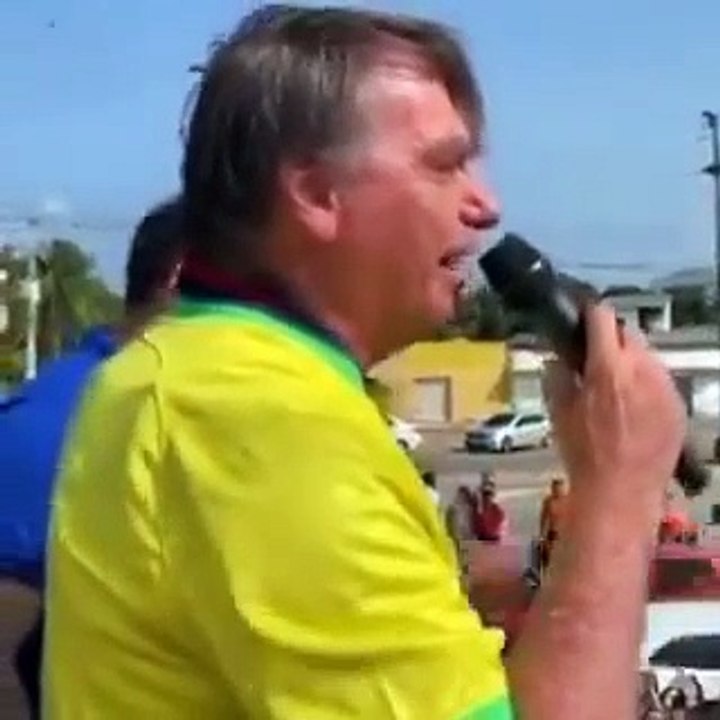 Brasil, Bolsonaro, ataque, abelhas