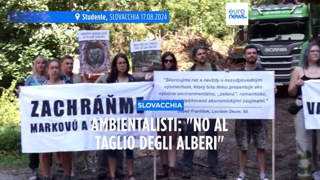 Slovacchia, ambientalisti: Tagliati alberi sani per fare spazio all'industria mineraria
