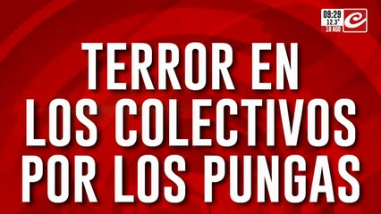 Terror en los colectivos por los pungas: choferes a la buena de Dios