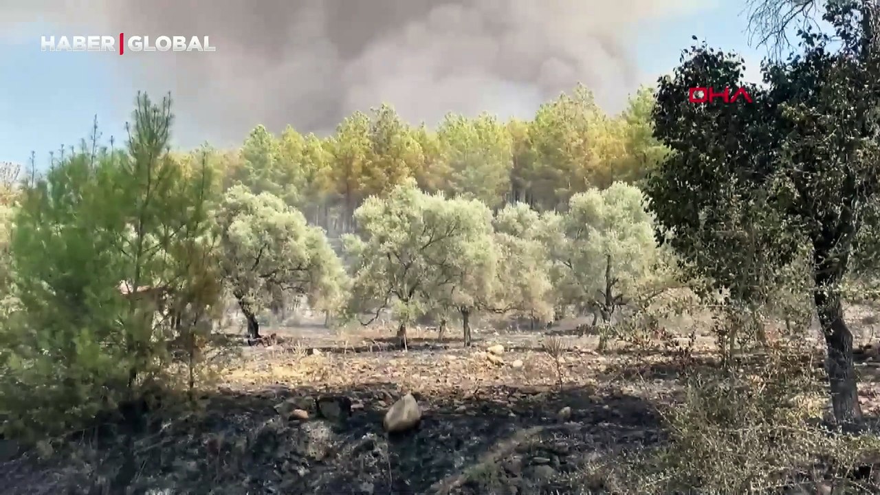 Muğla'nın Yatağan ve Ula ilçelerinde orman yangını çıktı